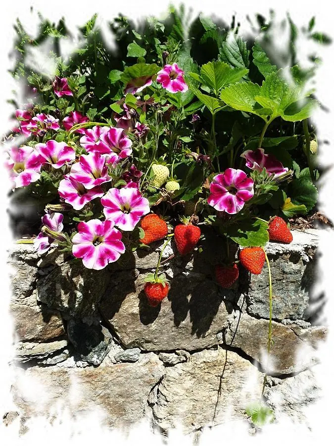 Casa Vacanze Family Albisola Superiore Holiday home
