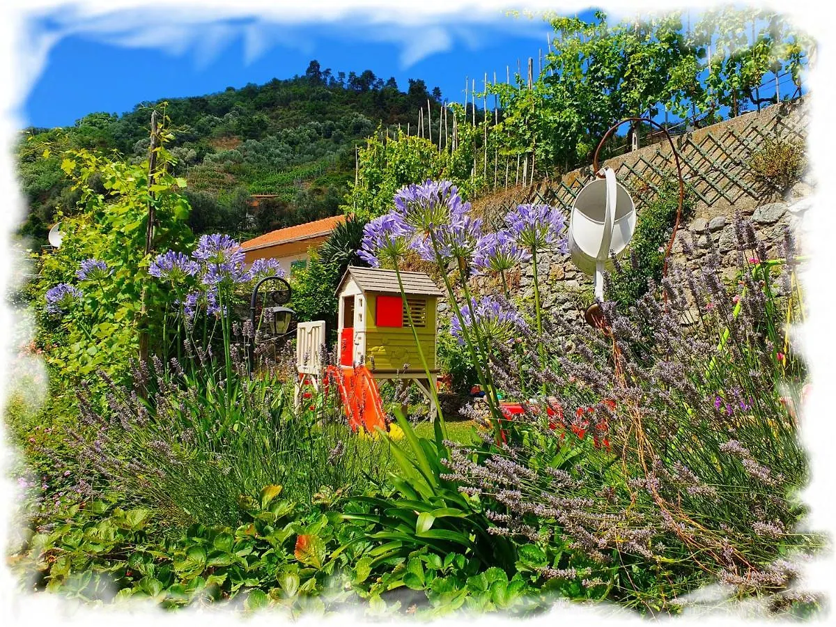 Casa Vacanze Family Albisola Superiore Italy