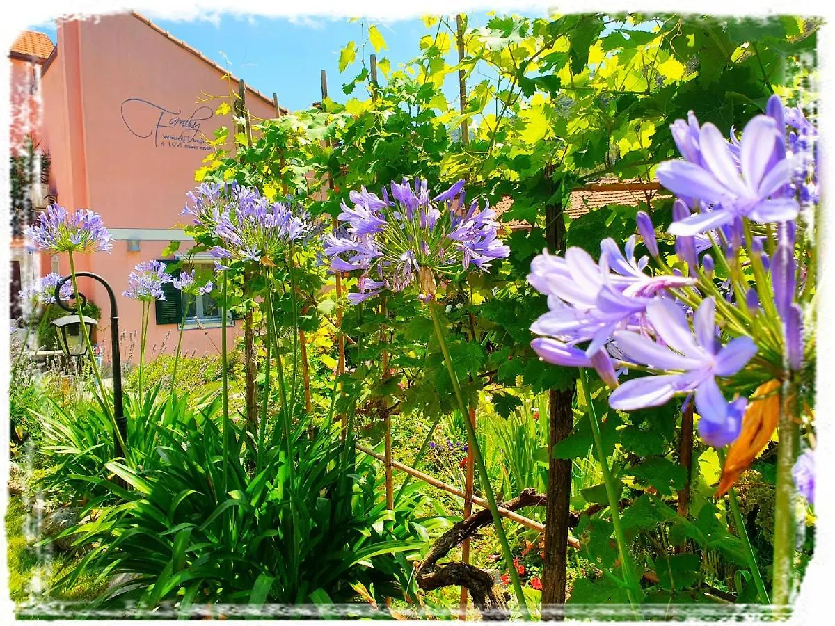 Holiday home Casa Vacanze Family Albisola Superiore Italy