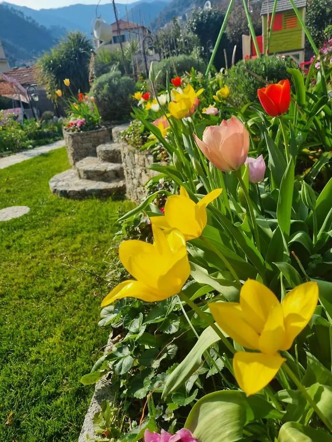 Casa Vacanze Family Albisola Superiore