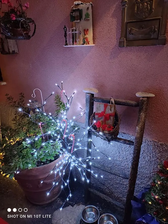 Holiday home Casa Vacanze Family Albisola Superiore Italy
